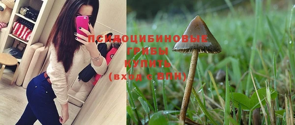 a pvp Беломорск